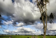 天涯社区怎么删除帖子亲，一篇带图小结概括清楚！