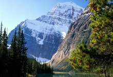 天涯社区家庭装修经验分享：二手房翻新攻略与避坑指南