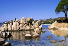 天涯社区如何变现